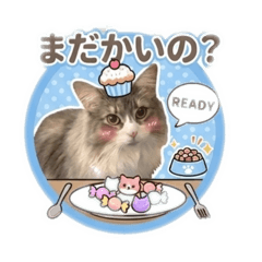 Kiranosuke.w