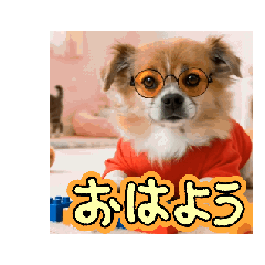 k.s_20260508154438