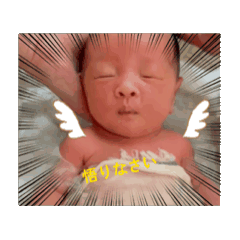 aki_20260508195444
