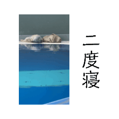 HKP_20260508215455