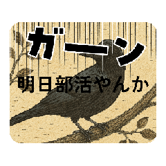 karasu_20260508195338