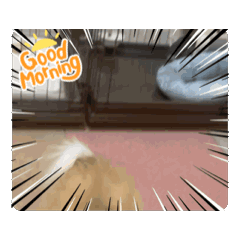 monotama_20260508224146