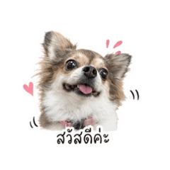 aoflove_20260508184042