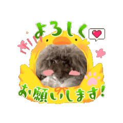 Momo3030_20260509100529
