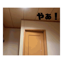 Rei_20260509084251