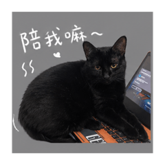 毆嚕叩叩
