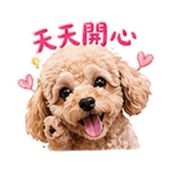 米凡家的咪將萬用祝福語