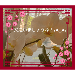 Miko_20260506213858
