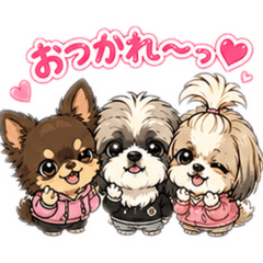 kaori_20260506214329