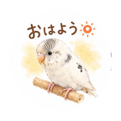 iwa_20260506223837
