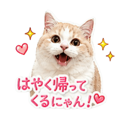Tsuchan_20260506223521