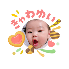 RYU_20260506223833