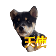 kurokurosukesuke