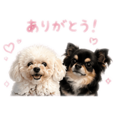 nohatowa_20260506223243