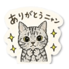 rain&sunny Cute Doodle Cat Stickers