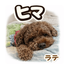 Manako_20260506224409