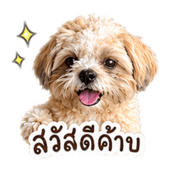 Poppylove_20260428153453