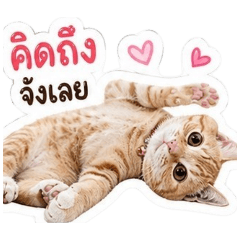 MeeMay_20260428153818