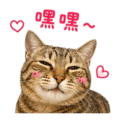 彎彎1