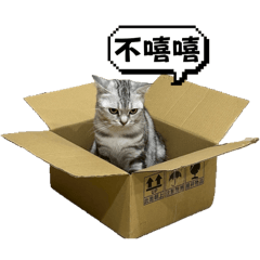 咪幾の反應合集《修正版》