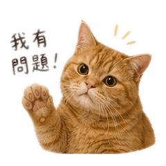 心滿的祝福