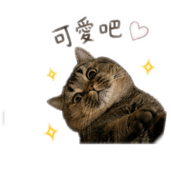 Fufu 咪