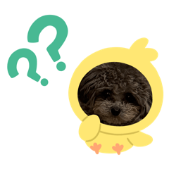 luluchibihakawaichibi