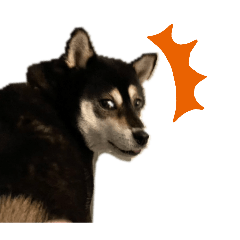 LUNA_20260506215042