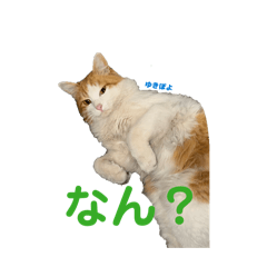 k_202605062