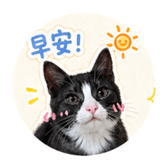 Xinyu&Kiki