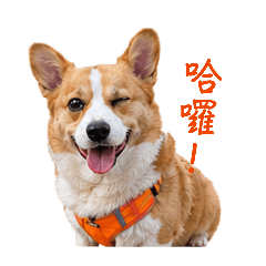 Lucky的超傻日常貼圖
