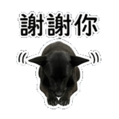 Kulo寫實日常