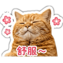 哩哩ㄉ一天