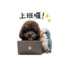Lucky & 錢錢 日常工作小應用