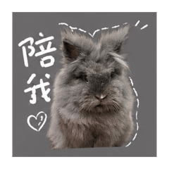 趴菜日常用語（1）
