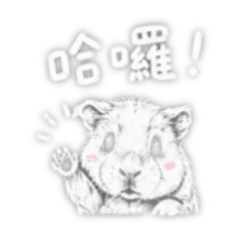 天竺鼠搭ㄍㄧˇ