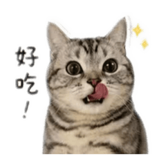 L小帥的爸