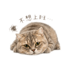 Niu五吉-不想上班～