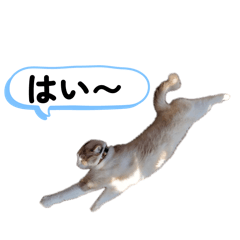 kiri_20260506230304