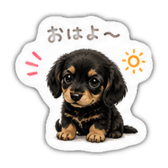 roytim_20260506230032