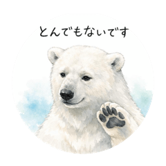 minachan_20260506230356