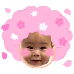 shingo_20260506220956