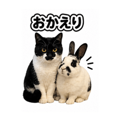 tomotomo_20260506220856