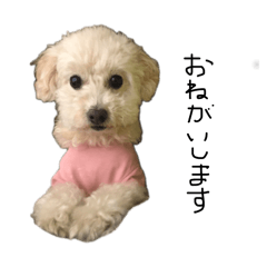 Hanawanko | Everyday Dog Stickers