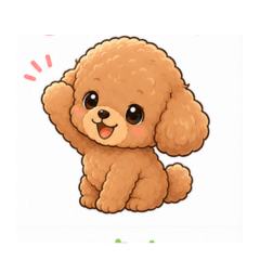 Lovely Toy Poodle Vol.2