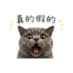 妹妹小朋友的日常