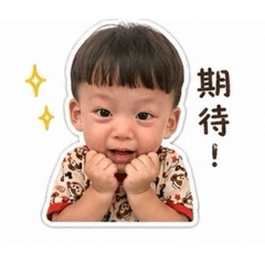 翁氏家龍「實用貼圖1」