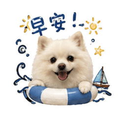 豬米漿