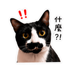 小小財
