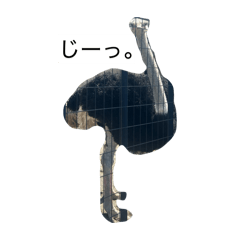 hana_20260506222504